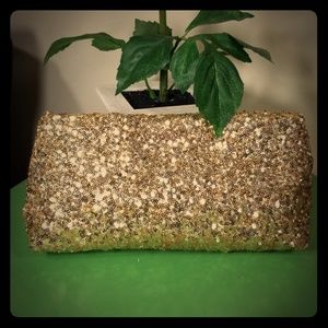 Victoria's Secret Sequined Clutch